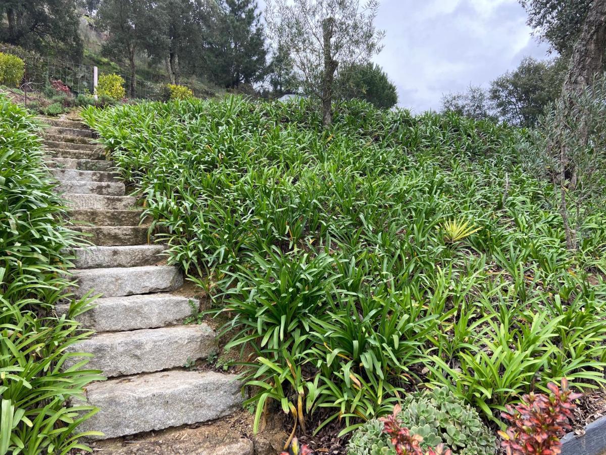 Casa De Ribadouro Lejlighed Baião Eksteriør billede