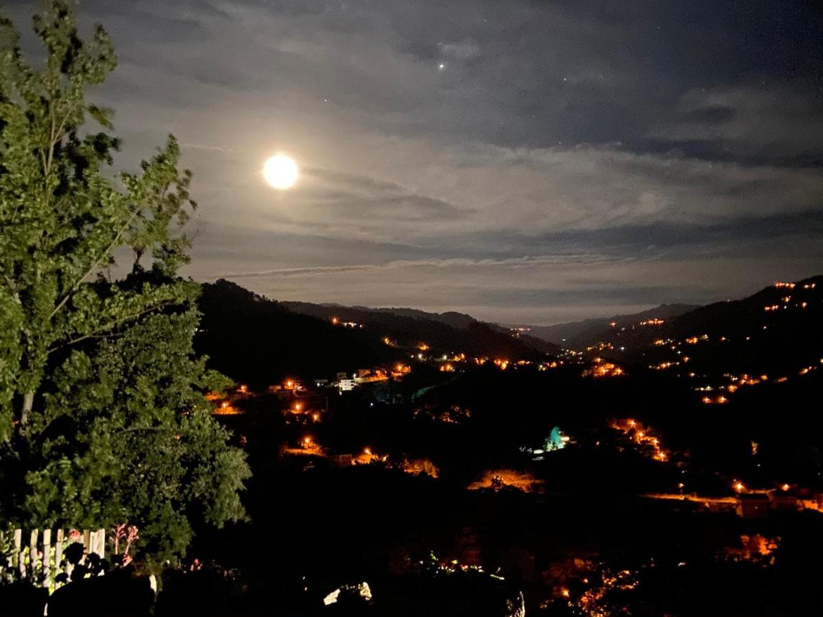 Casa De Ribadouro Lejlighed Baião Eksteriør billede